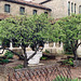 Garden in the Cloisters, April 2007