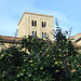 Tree and Tower in the Herb Garden in the Cloisters, Sept. 2007