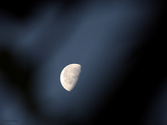 Guter Mond, du gehst so stille...  (8:13:36 Uhr)