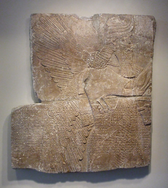 Relief of a Genie from the Palace of Ashurnasirpal II in the Prinecton University Art Museum, August 2009