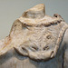 Detail of a Statue of Dionysos in the Princeton University Art Museum, August 2009