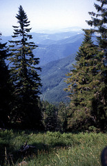 Schwarzwald anno 1994