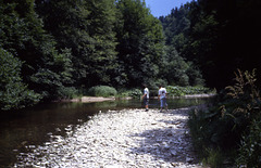 Schwarzwald anno 1994