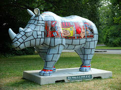 Go! Rhinos_029 - 17 July 2013
