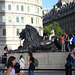 Trafalgar Square: lion statue