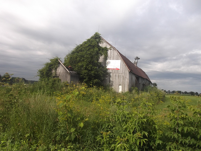 Grange abandonnée à vendre / Abandoned barn for sale.