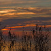 Lake Albert Sunset - Day 2 #2