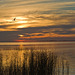 Lake Albert Sunset - Day 2 #1