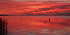 Lake Albert Sunset - Day 2 #3