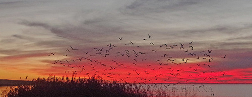 Ipernity Lake Albert Sunset Day 2 4 By Tiabunna