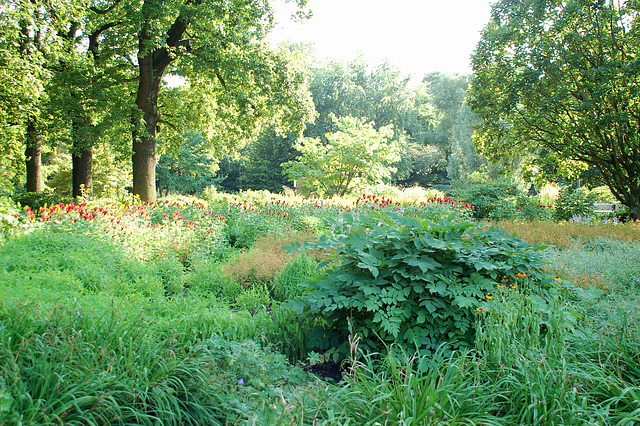 Planten und Blomen Planten und Blomen