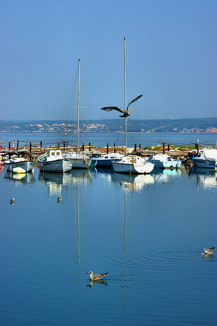 le petit port de "pointe courte" SETE, the small harbour of " short top " SETE