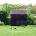 Shed in Old Bethpage Village Restoration, May 2007