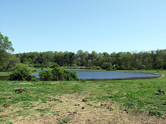 Lake in Old Bethpage Village Restoration, May 2007