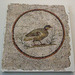 Roman Floor Mosaic of a Partridge from Sousse in the Walters Art Museum, September 2009