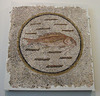 Floor Mosaic of a Fish from Sousse in the Walters Art Museum, September 2009