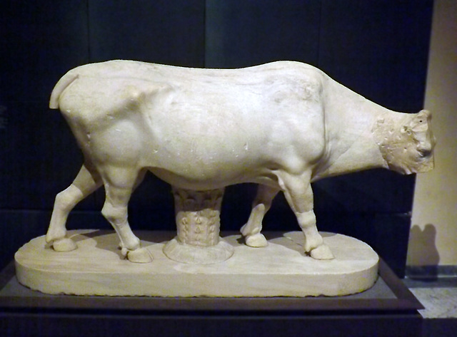 Cow from the Horti Tauriani in the Capitoline Museum, July 2012