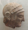 Head of a Warrior in the Boston Museum of Fine Arts, October 2009