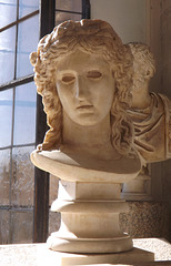Bust of Dionysos in the Capitoline Museum, July 2012