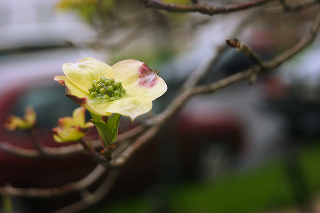 DSC04463 DSC04463