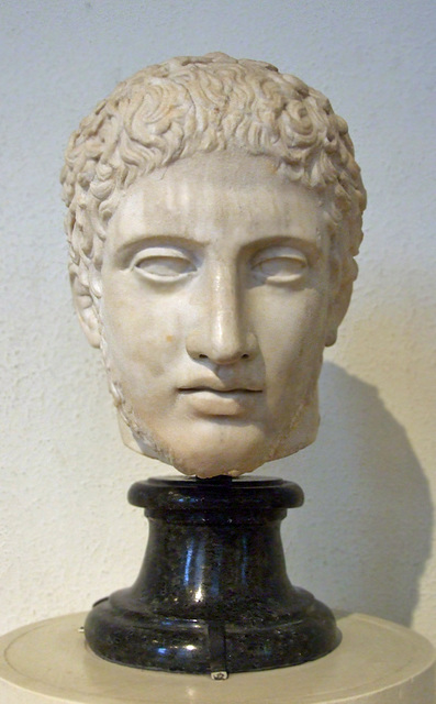 Head of Diomedes in the Boston Museum of Fine Arts, October 2009