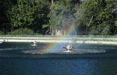 Rainbow at Queen Sirikit's Garden