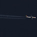TAP Air Portugal Airbus A319