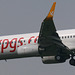 Pegasus Boeing 737-800