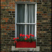 red window box