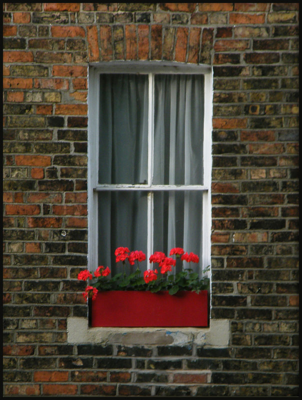 red window box