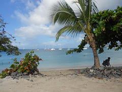Martinica-3 Îlets - Caribe