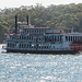 Paddleboat in Sydney Harbour