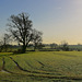 Fields near Brewood, Staffordshire