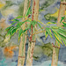2013-07-10 Bamboo-II web