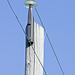 Hemingray D-513 glass insulator in service use