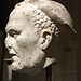 Marble Head of an Old Fisherman in the Metropolitan Museum of Art, February 2008