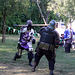 Viceroy Alexandre & Lord John the Bear Fighting at the Queens County Farm Fair Demo, September 2007