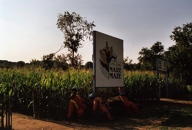 The Amazing Maize Maze at the Queens County Farm Museum Fair, Sept. 2006