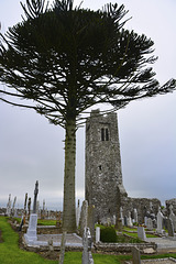 Hill of Slane 2013 – Pine and Tower