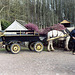 Horse and Cart at the Museum of Welsh Life, 2004