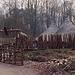 Celtic Village, 2004