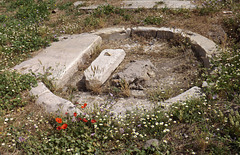 The Shrine of Venus Cloacina in the Forum, June 2012