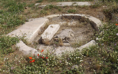 The Shrine of Venus Cloacina in the Forum, June 2012