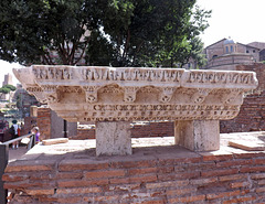 Marble Cornice from the House of the Vestal Virgins in the Forum Romanum, June 2012