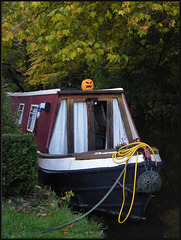 angry pumpkin hijacks boat