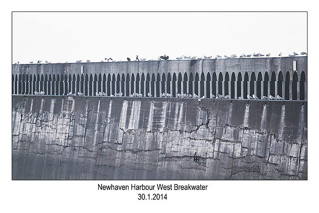 Newhaven West Breakwater - 30.1.2014