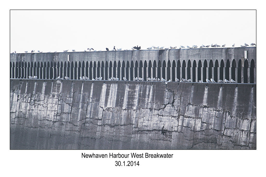 Newhaven West Breakwater - 30.1.2014