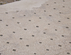 Mosaic Floor in the House of the Vestal Virgins in the Forum Romanum, June 2012