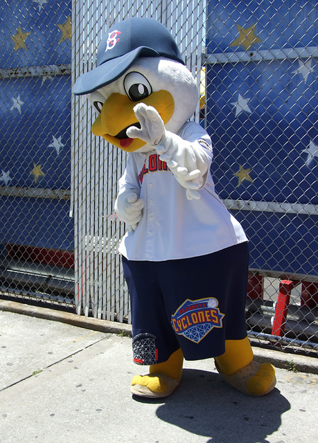 ipernity: Brooklyn Cyclones Mascot Sandy the Seagull at the