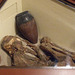 Egyptian Predynastic Burial Reconstruction in the University of Pennsylvania Museum, November 2009